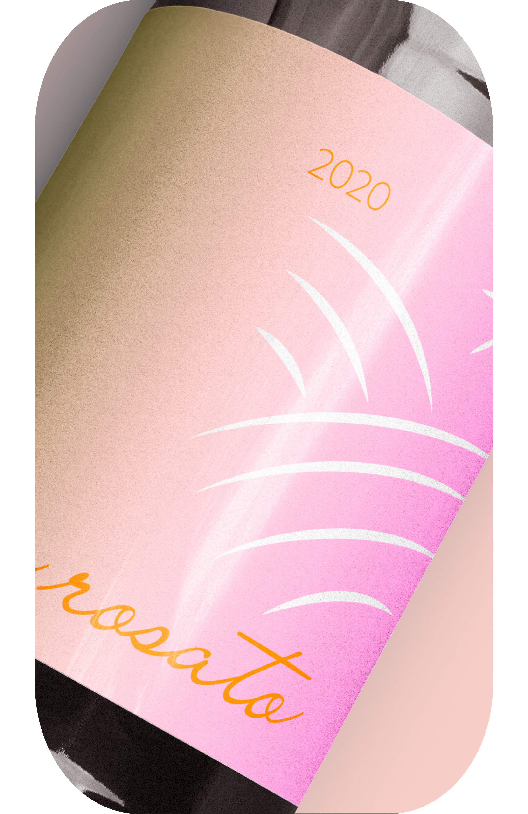 etichette vino design